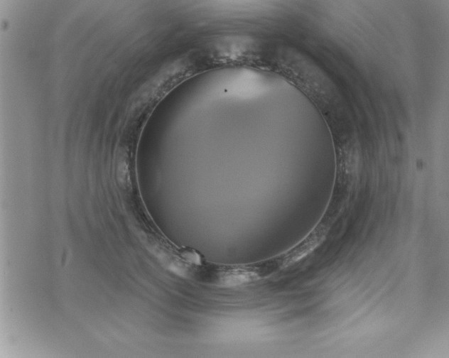 X0000071960754200607071452