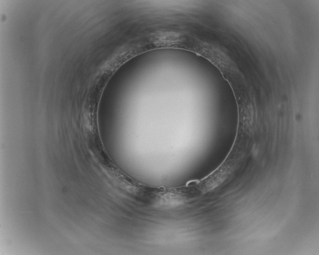 X0000071960755200607071452