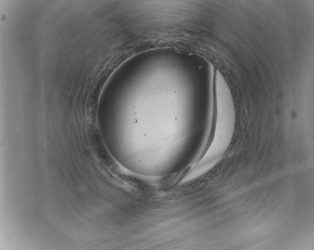 X0000071960756200607071452