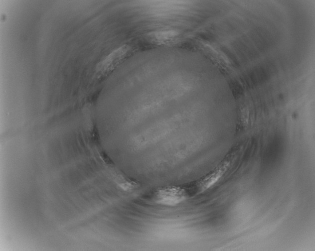 X0000071960757200607071452