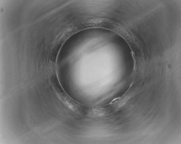 X0000071960758200607071452