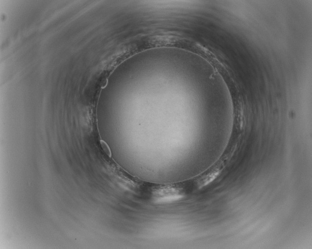 X0000071960759200607071452