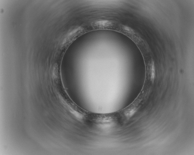 X0000071960760200607071452