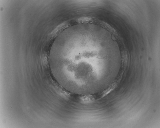 X0000071960761200607071452