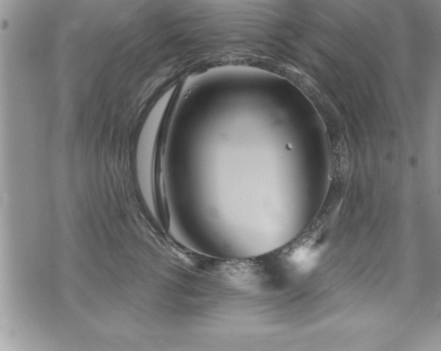 X0000071960762200607071452