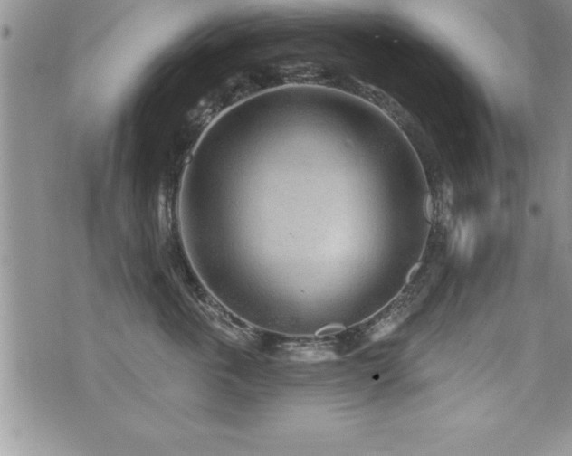 X0000071960763200607071452