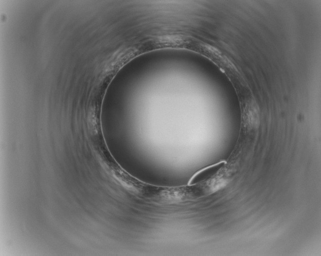 X0000071960764200607071452