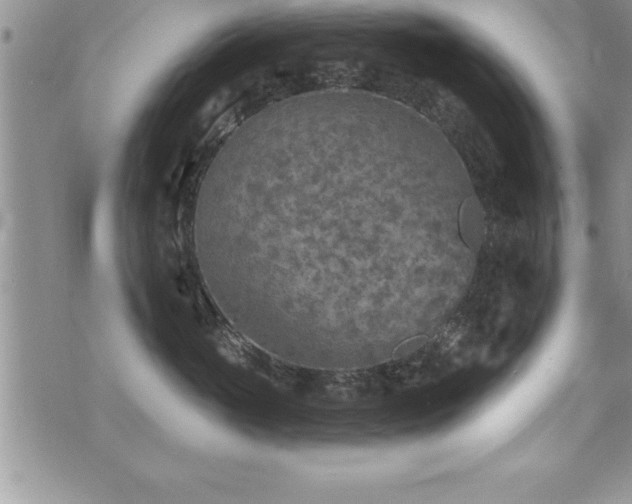 X0000071960765200607071452