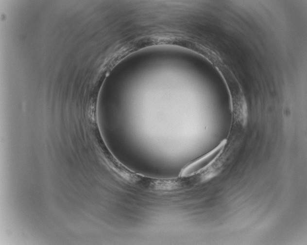 X0000071960766200607071452