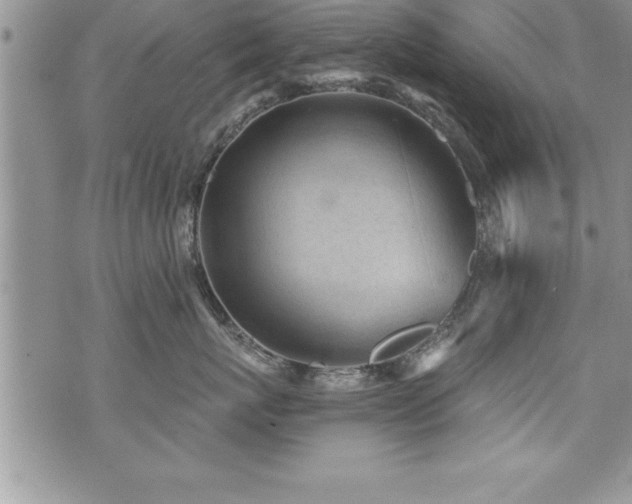 X0000071960767200607071452