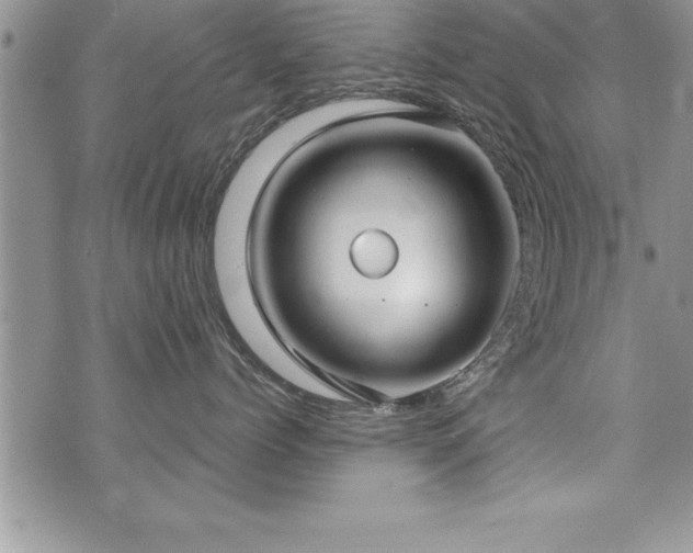 X0000071960768200607071452