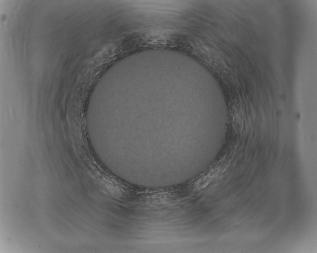 X0000071960769200607071452