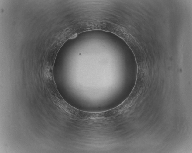 X0000071960770200607071452