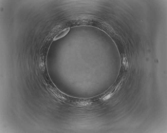 X0000071960771200607071452