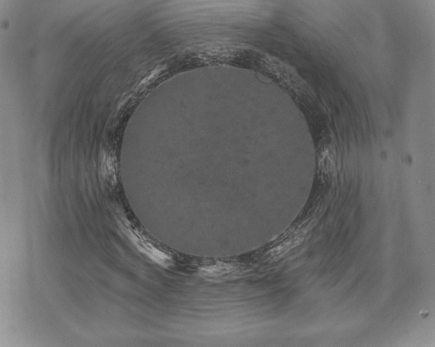 X0000071960772200607071452