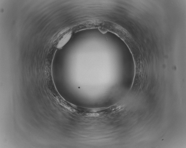 X0000071960773200607071452