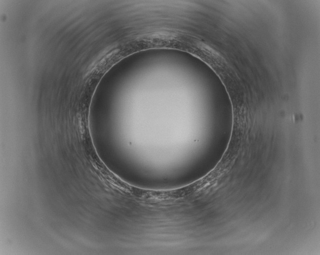 X0000071960774200607071452