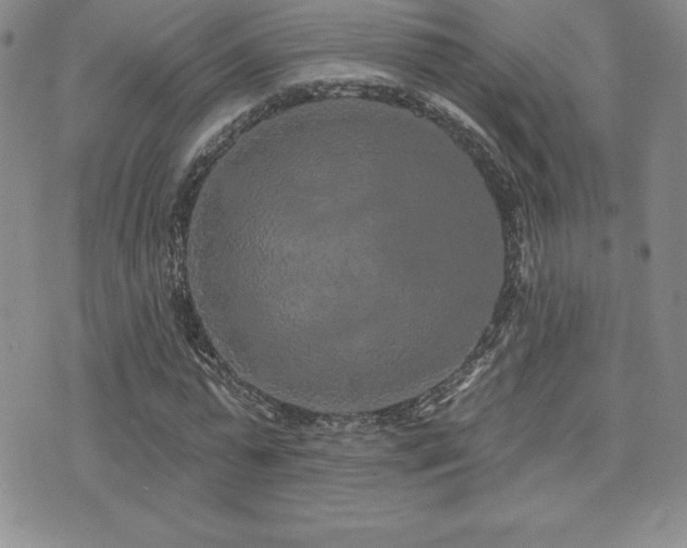 X0000071960775200607071452