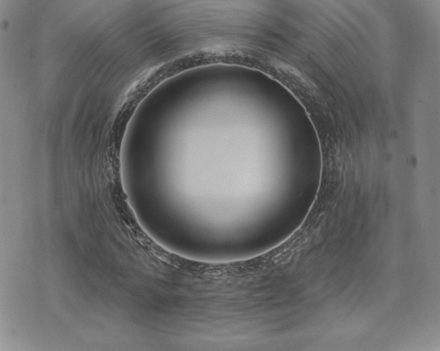 X0000071960776200607071451