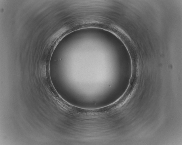 X0000071960777200607071451