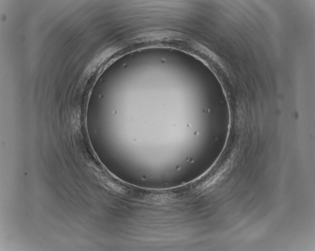 X0000071960778200607071451