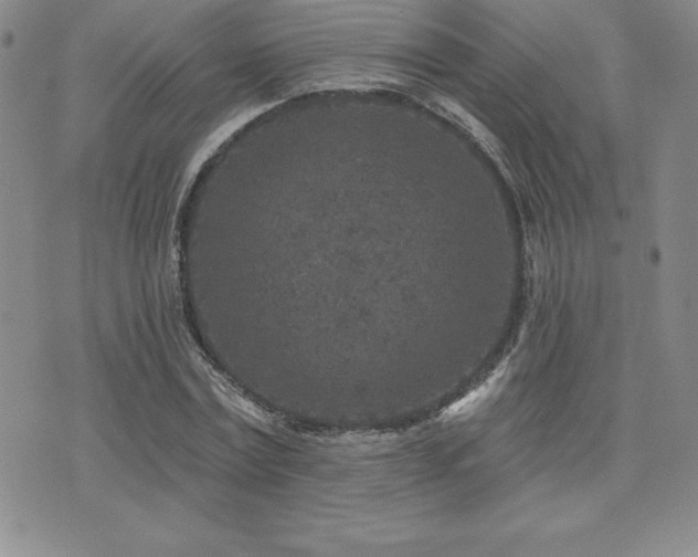 X0000071960779200607071451