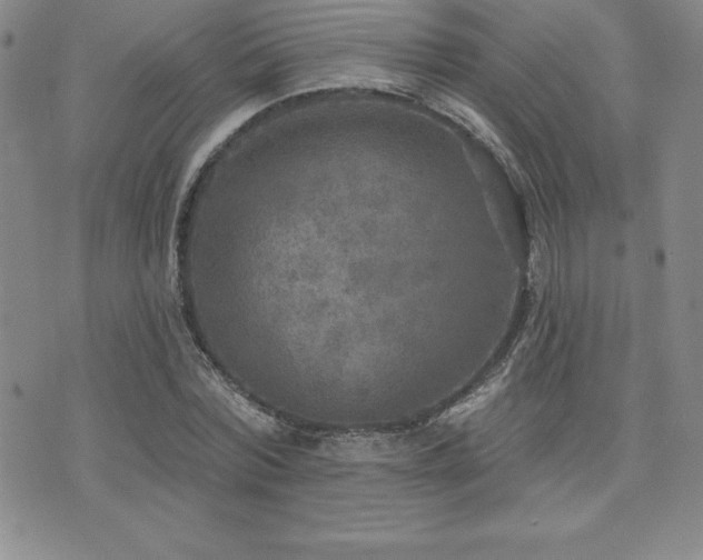 X0000071960780200607071451