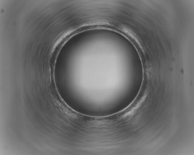 X0000071960781200607071451