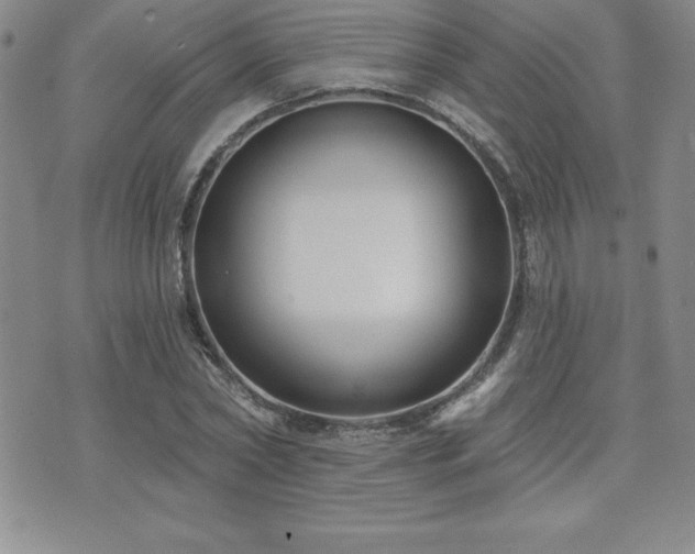 X0000071960782200607071451