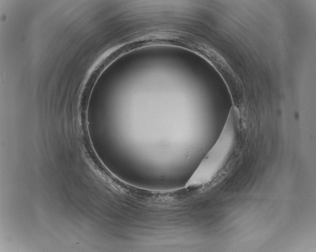 X0000071960784200607071451