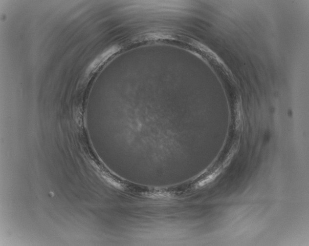 X0000071960785200607071451