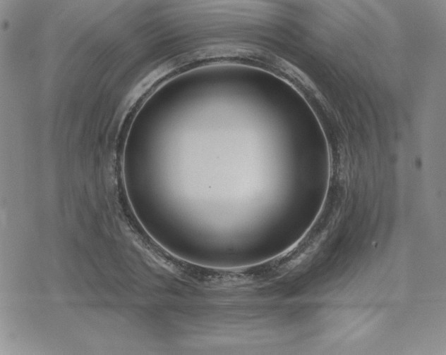 X0000071960786200607071451