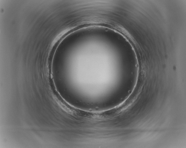 X0000071960787200607071451