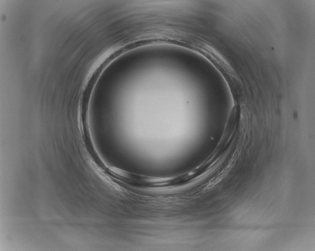 X0000071960788200607071451