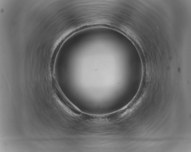 X0000071960789200607071451