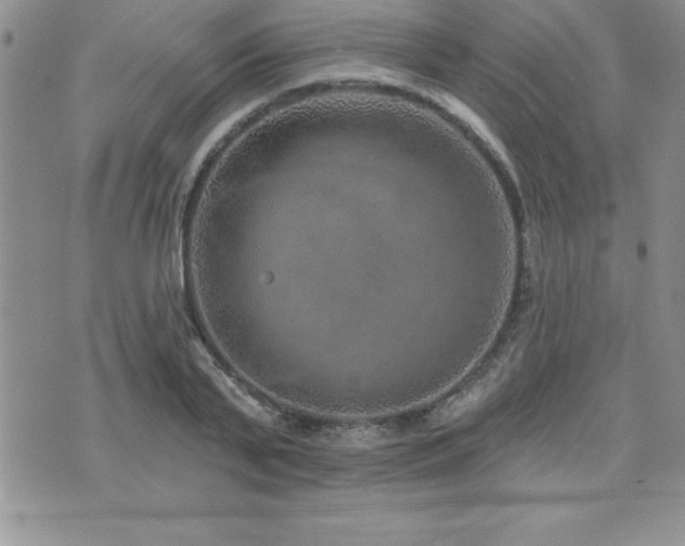 X0000071960791200607071451