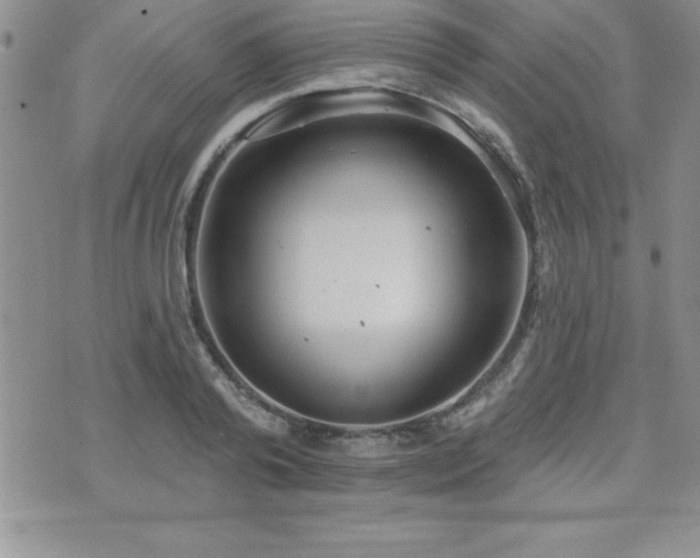 X0000071960792200607071451