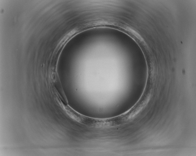 X0000071960793200607071451