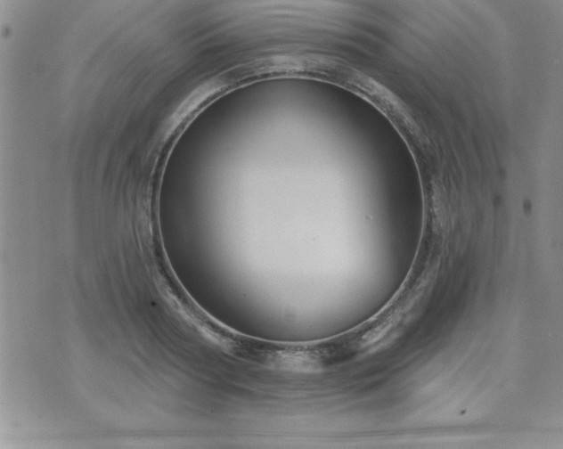 X0000071960794200607071451