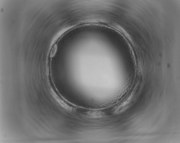 X0000071960795200607071451