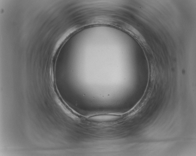 X0000071960796200607071451