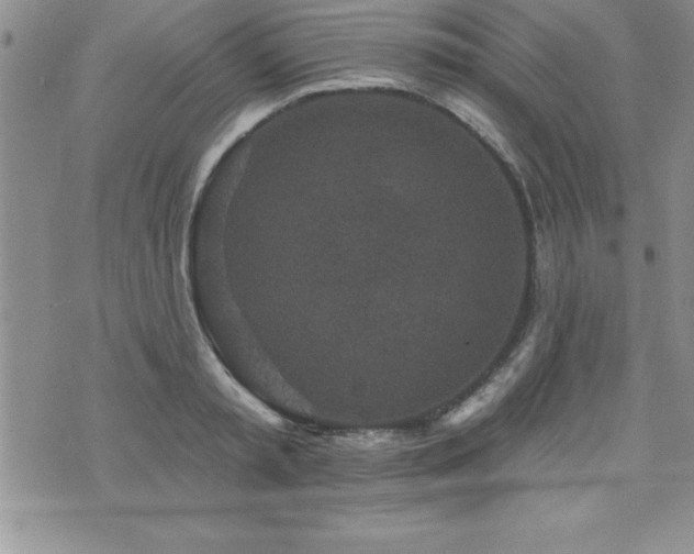 X0000071960797200607071451