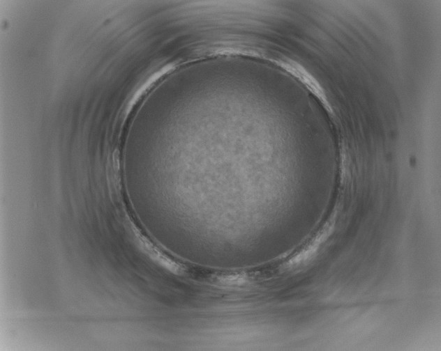 X0000071960798200607071451