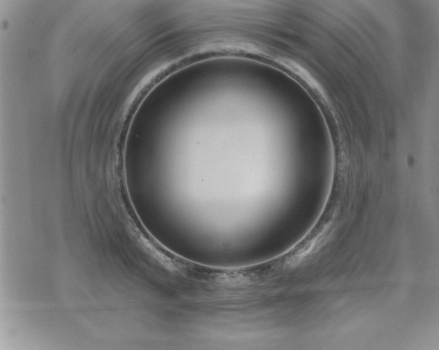 X0000071960799200607071451