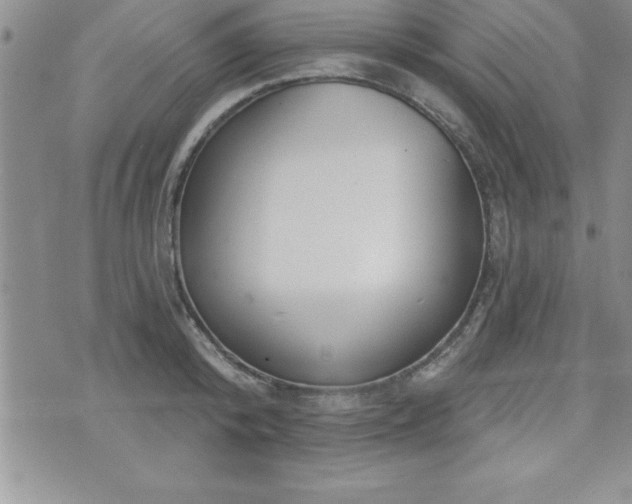 X0000071960800200607071451