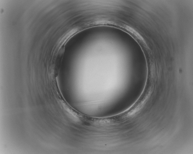 X0000071960801200607071451