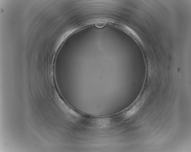 X0000071960802200607071451