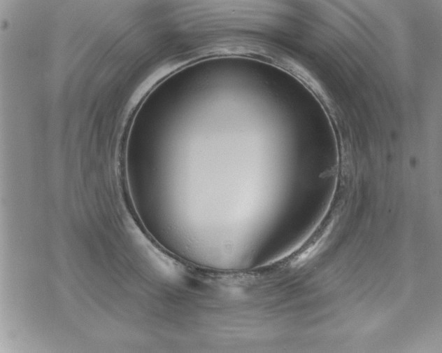 X0000071960803200607071451