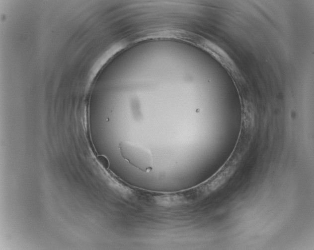 X0000071960804200607071451