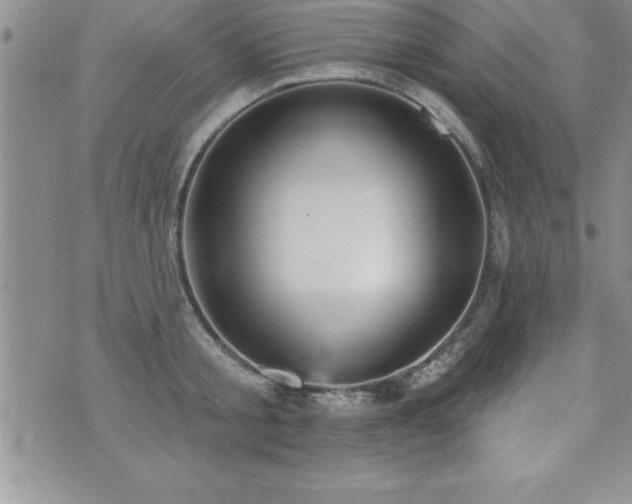 X0000071960805200607071451